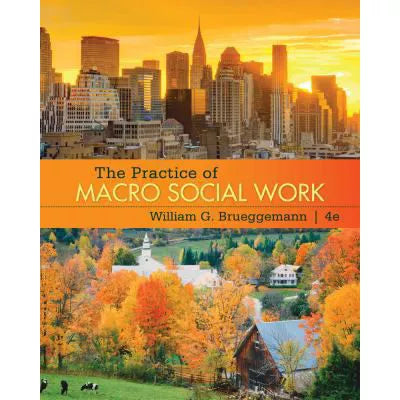 The Practice of Macro Social Work