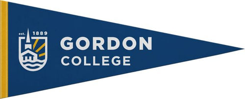 12''X30'' Full Color Pennant